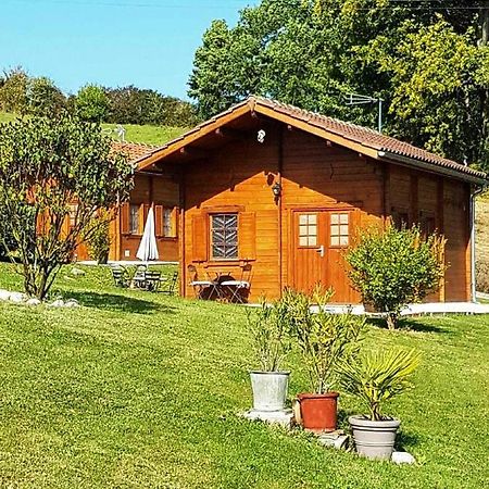 Chalet Charmant A Dausse Avec Piscine Et Jardin Εξωτερικό φωτογραφία