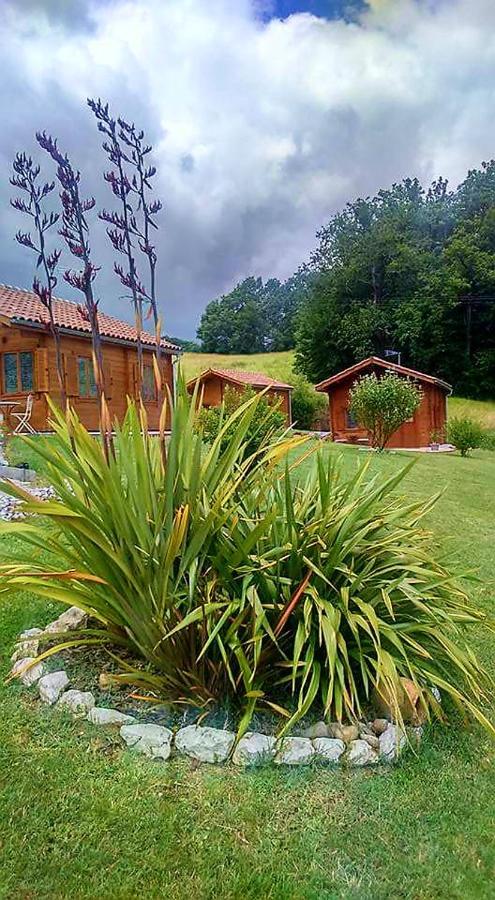 Chalet Charmant A Dausse Avec Piscine Et Jardin Εξωτερικό φωτογραφία