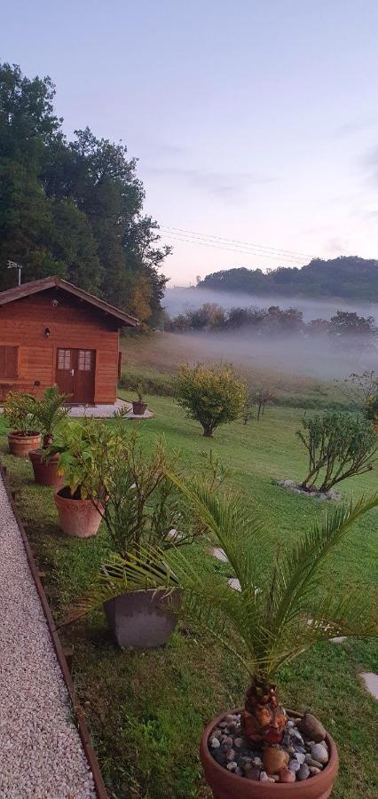 Chalet Charmant A Dausse Avec Piscine Et Jardin Εξωτερικό φωτογραφία