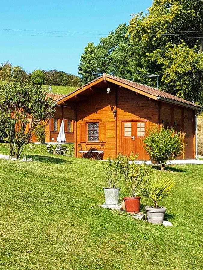 Chalet Charmant A Dausse Avec Piscine Et Jardin Εξωτερικό φωτογραφία